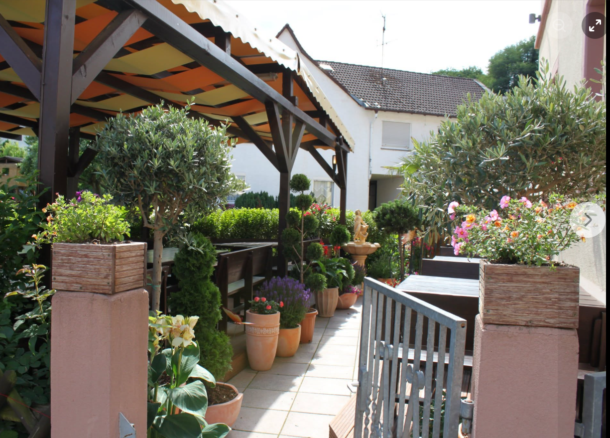 Begrünter Terrassenbereich des Restaurant Rhodos